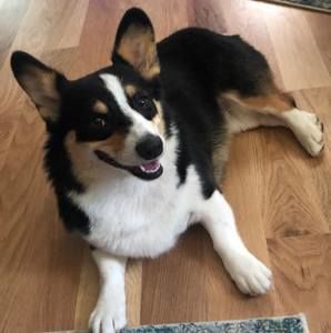 Meet your Posher, Cheryl